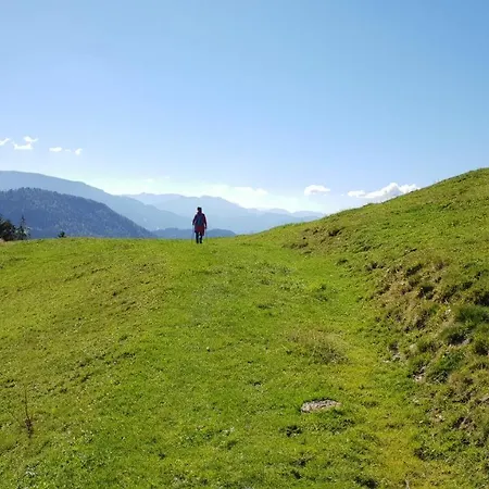 Apartmán Ferienwohnung Haus Alpenrose Oberstaufen